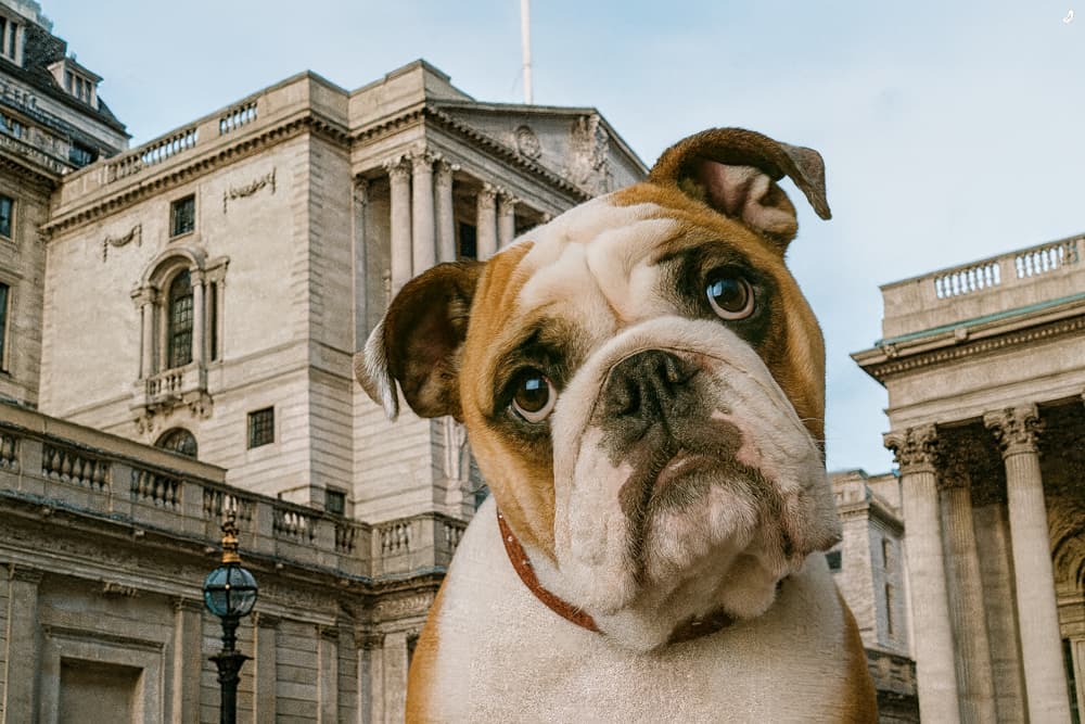 How Important is Central Bank Independence?